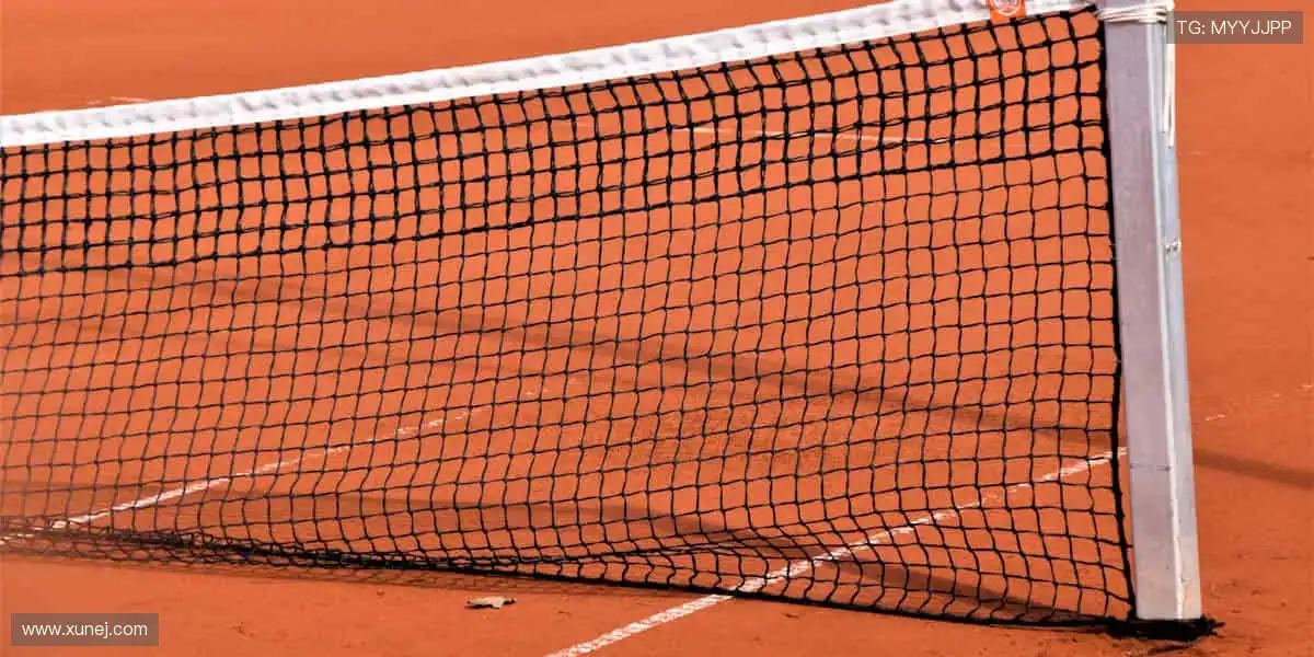 ✨ 一键订阅,精彩不断!最新赛事资讯,第一时间送达!